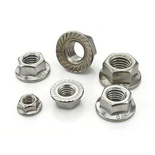SS304 Hex Flange Nut Plain